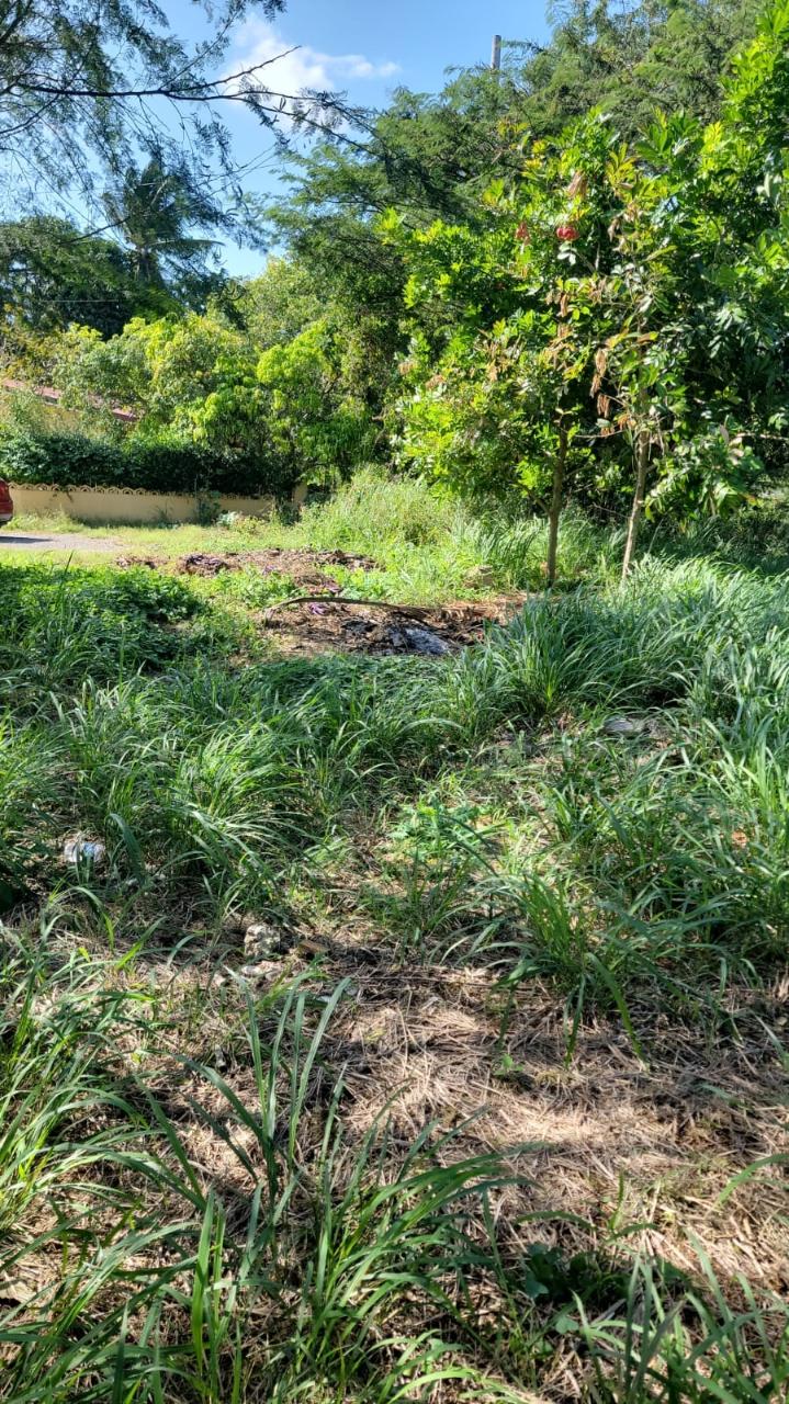 Eighth image of 32 Marlene Close, Keyston in Keystone, St. Catherine, Jamaica - property is For Sale