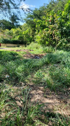 Eighth image of 32 Marlene Close, Keyston in Keystone, St. Catherine, Jamaica - property is For Sale