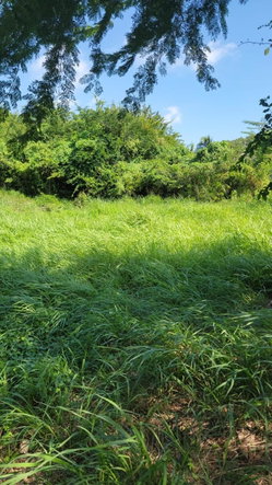 Tenth image of 32 Marlene Close, Keyston in Keystone, St. Catherine, Jamaica - property is For Sale