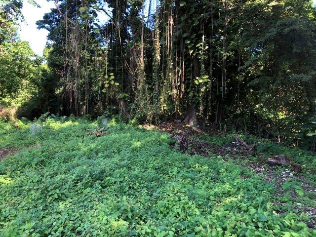 Fourth image of Lot-12 Jubliee Pen Kildare Portl in Buff Bay, Portland, Jamaica - property is For Sale