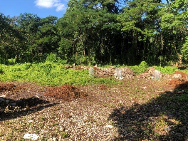 Eighth image of Lot-12 Jubliee Pen Kildare Portl in Buff Bay, Portland, Jamaica - property is For Sale