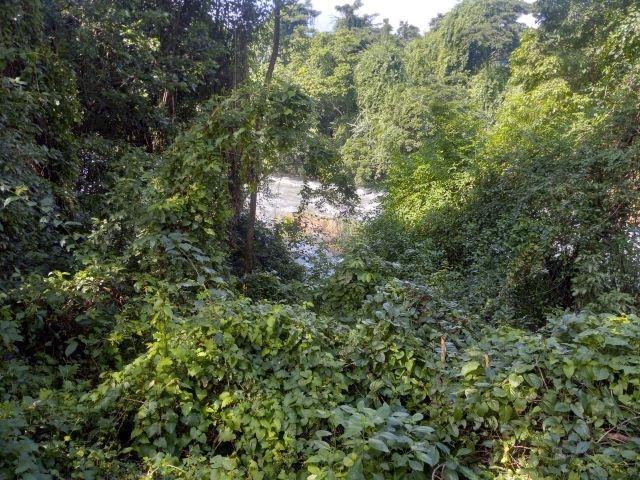 Ninth image of Lot-12 Jubliee Pen Kildare Portl in Buff Bay, Portland, Jamaica - property is For Sale