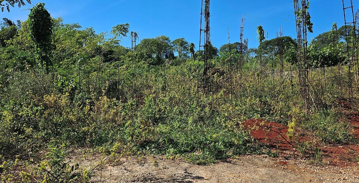 First image of 421 Naseberry Villa Kitson to in KITSON TOWN, St. Catherine, Jamaica - property is For Sale