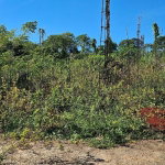 First image of 421 Naseberry Villa Kitson to in KITSON TOWN, St. Catherine, Jamaica - property is For Sale