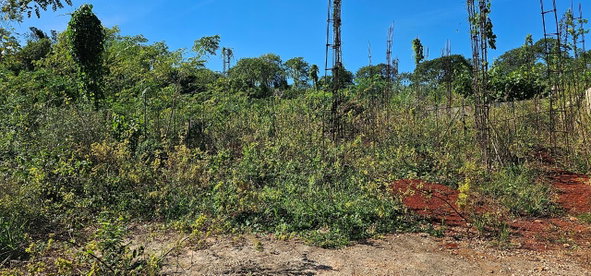 First image of 421 Naseberry Villa Kitson to in KITSON TOWN, St. Catherine, Jamaica - property is For Sale