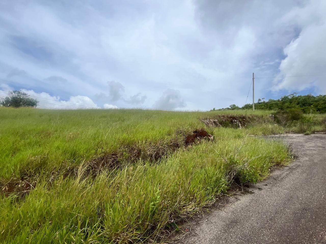 Second image of 25- Daleys Grove, Knockpatric in Knockpatirck, Manchester, Jamaica - property is For Sale