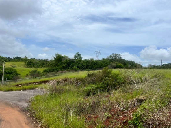 Third image of 25- Daleys Grove, Knockpatric in Knockpatirck, Manchester, Jamaica - property is For Sale