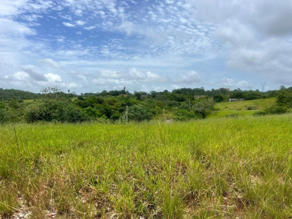 First image of 25- Daleys Grove, Knockpatric in Knockpatirck, Manchester, Jamaica - property is For Sale