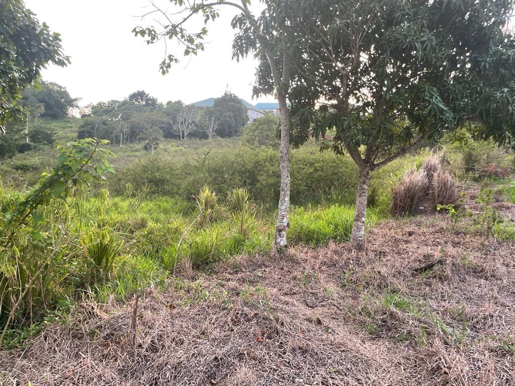 Second image of Knockpatrick in Knockpatrick, Manchester, Jamaica - property is For Sale