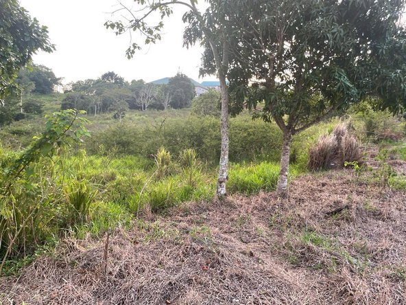 Second image of Knockpatrick in Knockpatrick, Manchester, Jamaica - property is For Sale