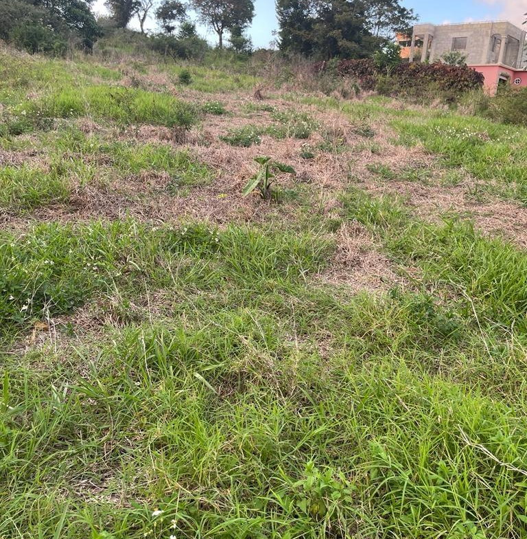 Third image of Knockpatrick in Knockpatrick, Manchester, Jamaica - property is For Sale