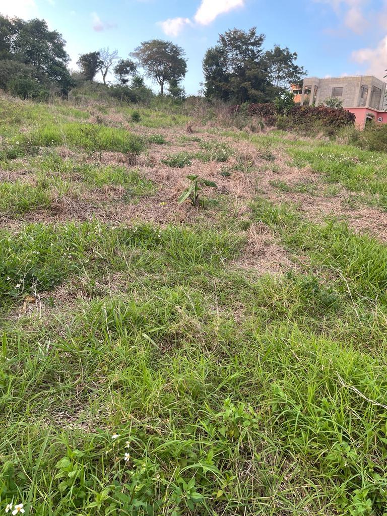 Third image of Knockpatrick in Knockpatrick, Manchester, Jamaica - property is For Sale
