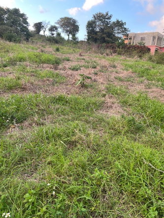 Third image of Knockpatrick in Knockpatrick, Manchester, Jamaica - property is For Sale
