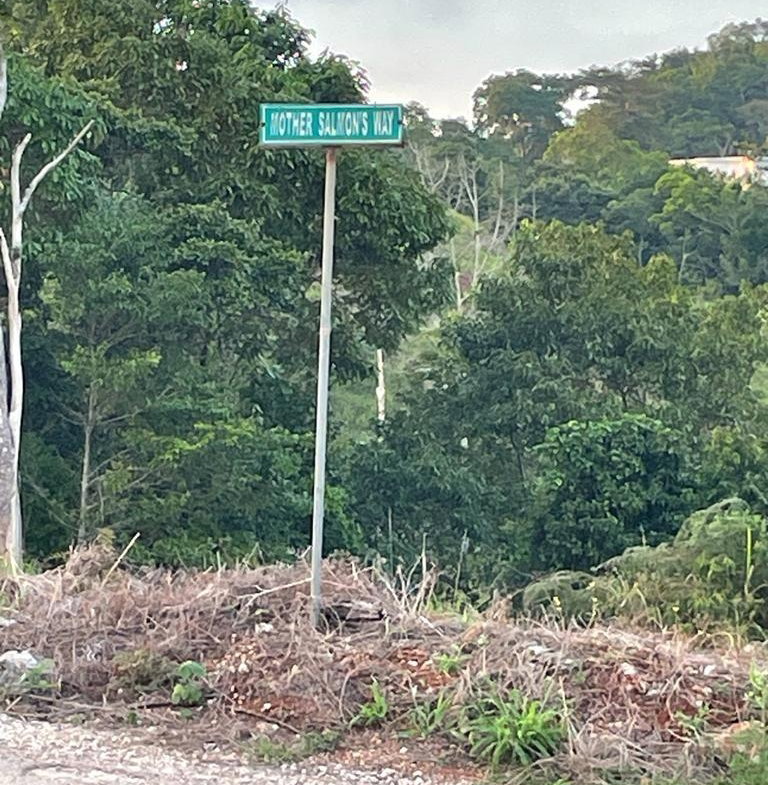 Fourth image of Knockpatrick in Knockpatrick, Manchester, Jamaica - property is For Sale