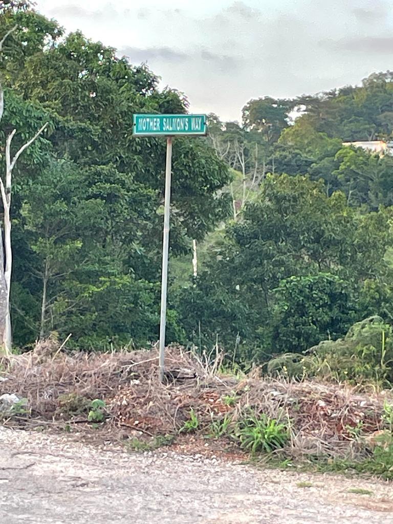 Fourth image of Knockpatrick in Knockpatrick, Manchester, Jamaica - property is For Sale