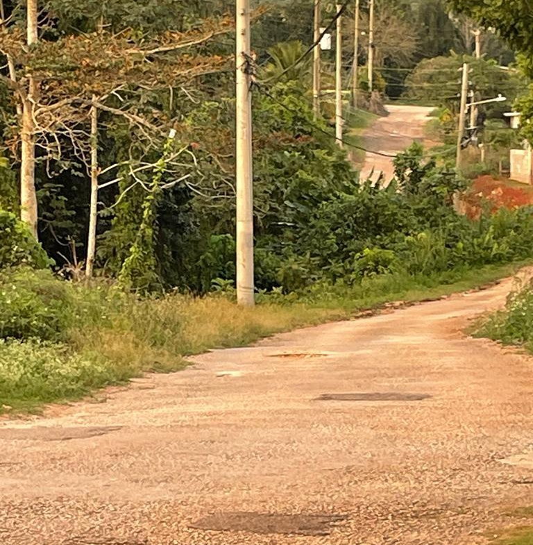 Fifth image of Knockpatrick in Knockpatrick, Manchester, Jamaica - property is For Sale
