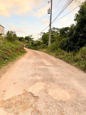 Sixth image of Knockpatrick in Knockpatrick, Manchester, Jamaica - property is For Sale