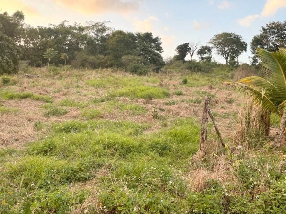 First image of Knockpatrick in Knockpatrick, Manchester, Jamaica - property is For Sale