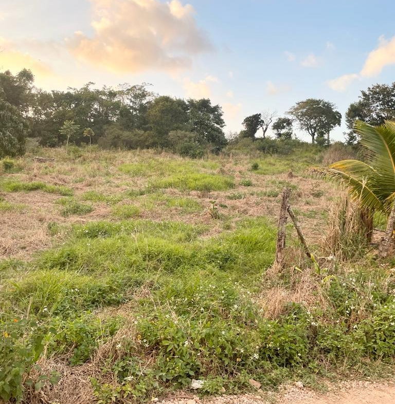 First image of Knockpatrick in Knockpatrick, Manchester, Jamaica - property is For Sale