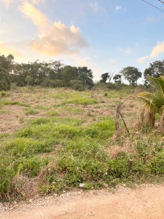 First image of Knockpatrick in Knockpatrick, Manchester, Jamaica - property is For Sale