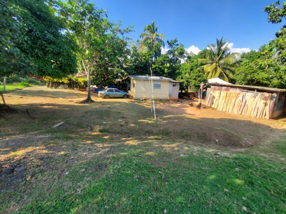 First image of Part of Lacovia in Lacovia, St. Elizabeth, Jamaica - property is For Sale