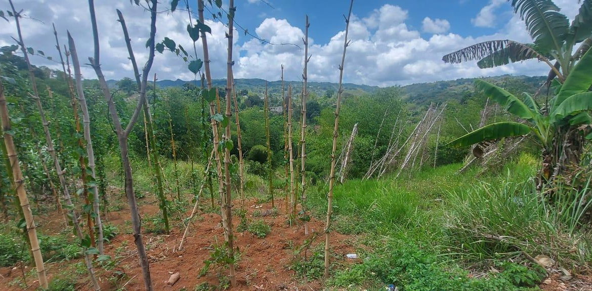 Second image of 278 Leicesterfield, Clarendon in Frankfield, Clarendon, Jamaica - property is For Sale