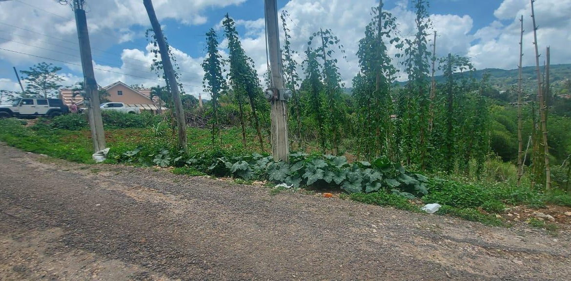 Third image of 278 Leicesterfield, Clarendon in Frankfield, Clarendon, Jamaica - property is For Sale