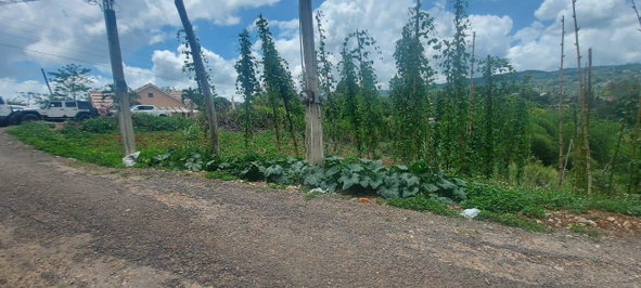 Third image of 278 Leicesterfield, Clarendon in Frankfield, Clarendon, Jamaica - property is For Sale