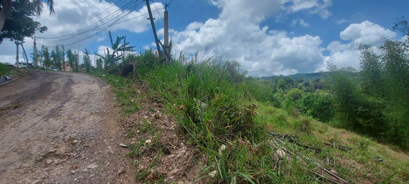 Fifth image of 278 Leicesterfield, Clarendon in Frankfield, Clarendon, Jamaica - property is For Sale