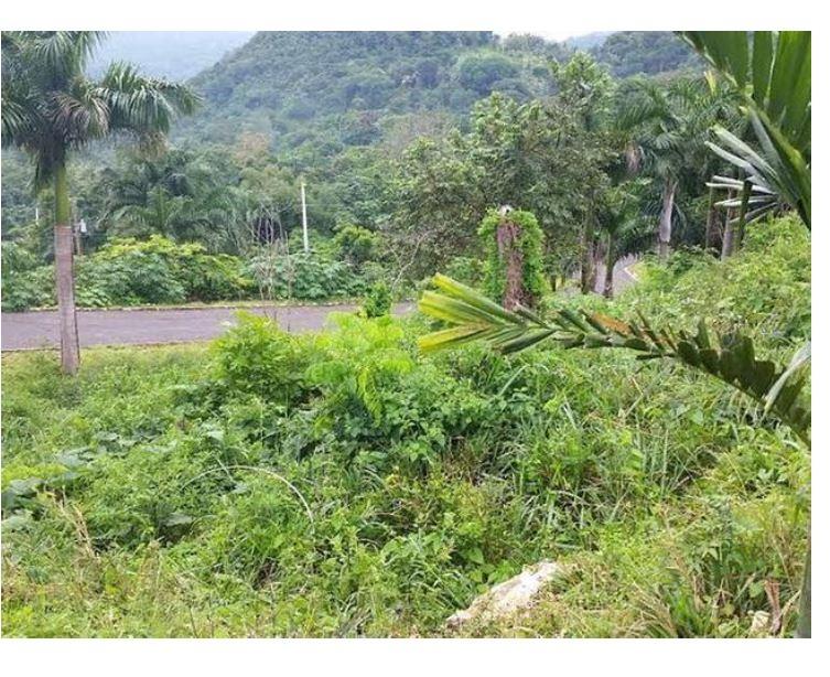 Second image of Lot #13- Liberty Hill, Lime Hall s in Lime Hall, St. Ann, Jamaica - property is For Sale