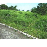 First image of Lot #13- Liberty Hill, Lime Hall s in Lime Hall, St. Ann, Jamaica - property is For Sale