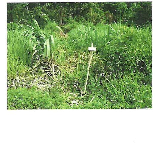 Third image of Lot #13- Liberty Hill, Lime Hall s in Lime Hall, St. Ann, Jamaica - property is For Sale
