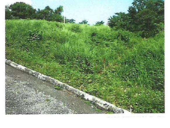 First image of Lot #13- Liberty Hill, Lime Hall s in Lime Hall, St. Ann, Jamaica - property is For Sale