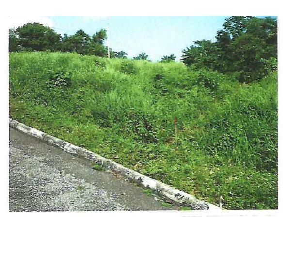First image of Lot #13- Liberty Hill, Lime Hall s in Lime Hall, St. Ann, Jamaica - property is For Sale