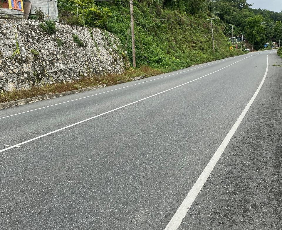 Third image of Lindos Hill, Withorn in Whithorn, Westmoreland, Jamaica - property is For Sale
