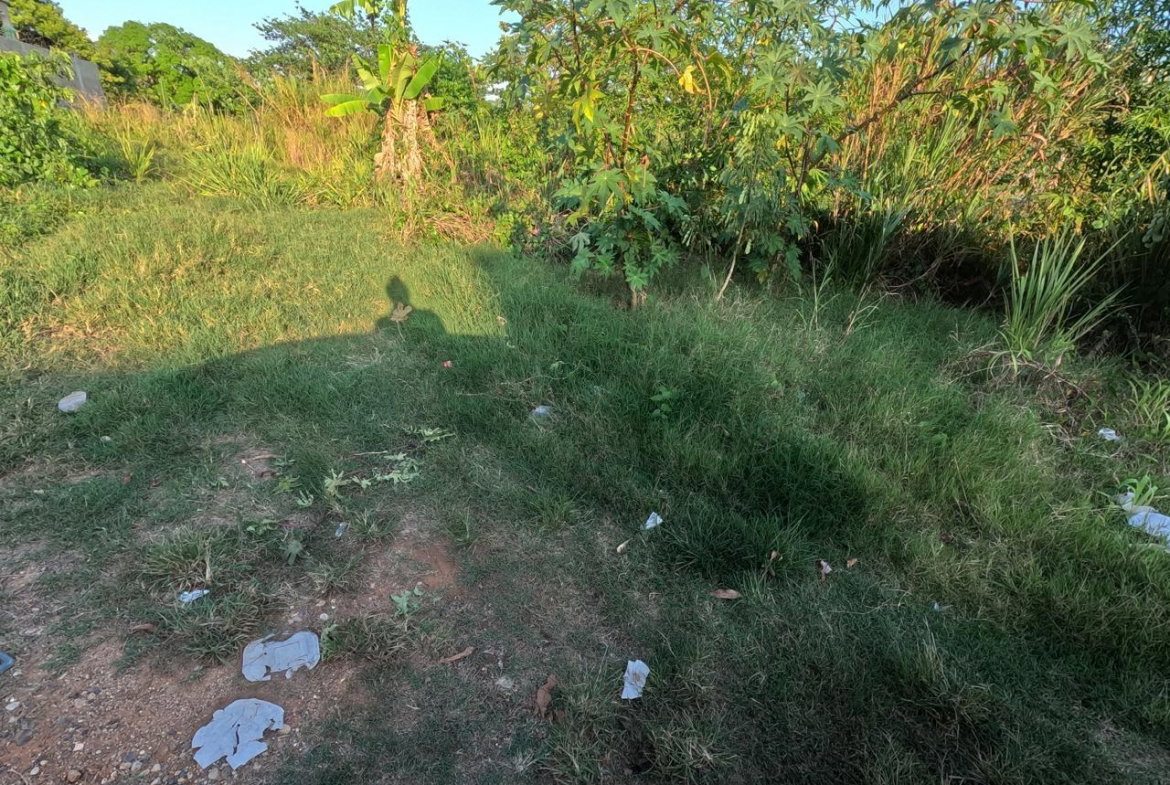 Second image of 7 Vineyard Park in Linstead, St. Catherine, Jamaica - property is For Sale