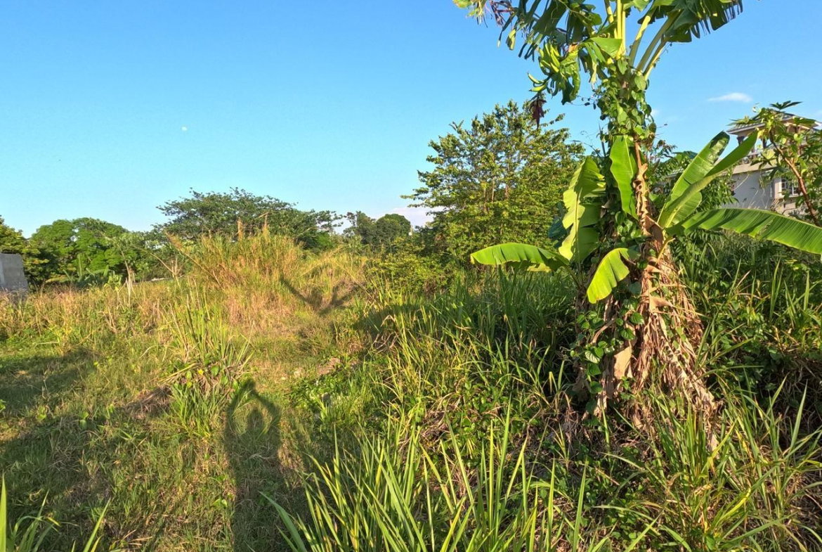 Third image of 7 Vineyard Park in Linstead, St. Catherine, Jamaica - property is For Sale