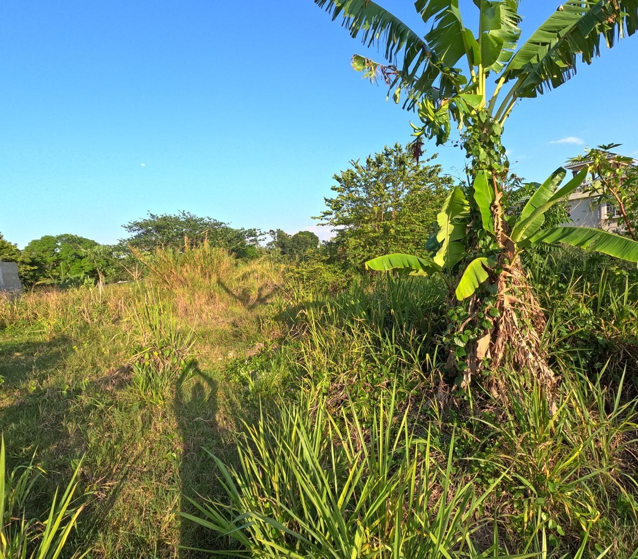 Third image of 7 Vineyard Park in Linstead, St. Catherine, Jamaica - property is For Sale