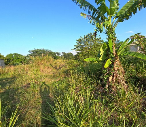 Third image of 7 Vineyard Park in Linstead, St. Catherine, Jamaica - property is For Sale