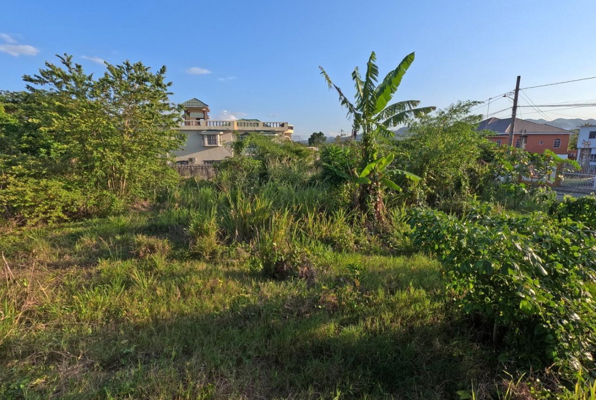 Fourth image of 7 Vineyard Park in Linstead, St. Catherine, Jamaica - property is For Sale
