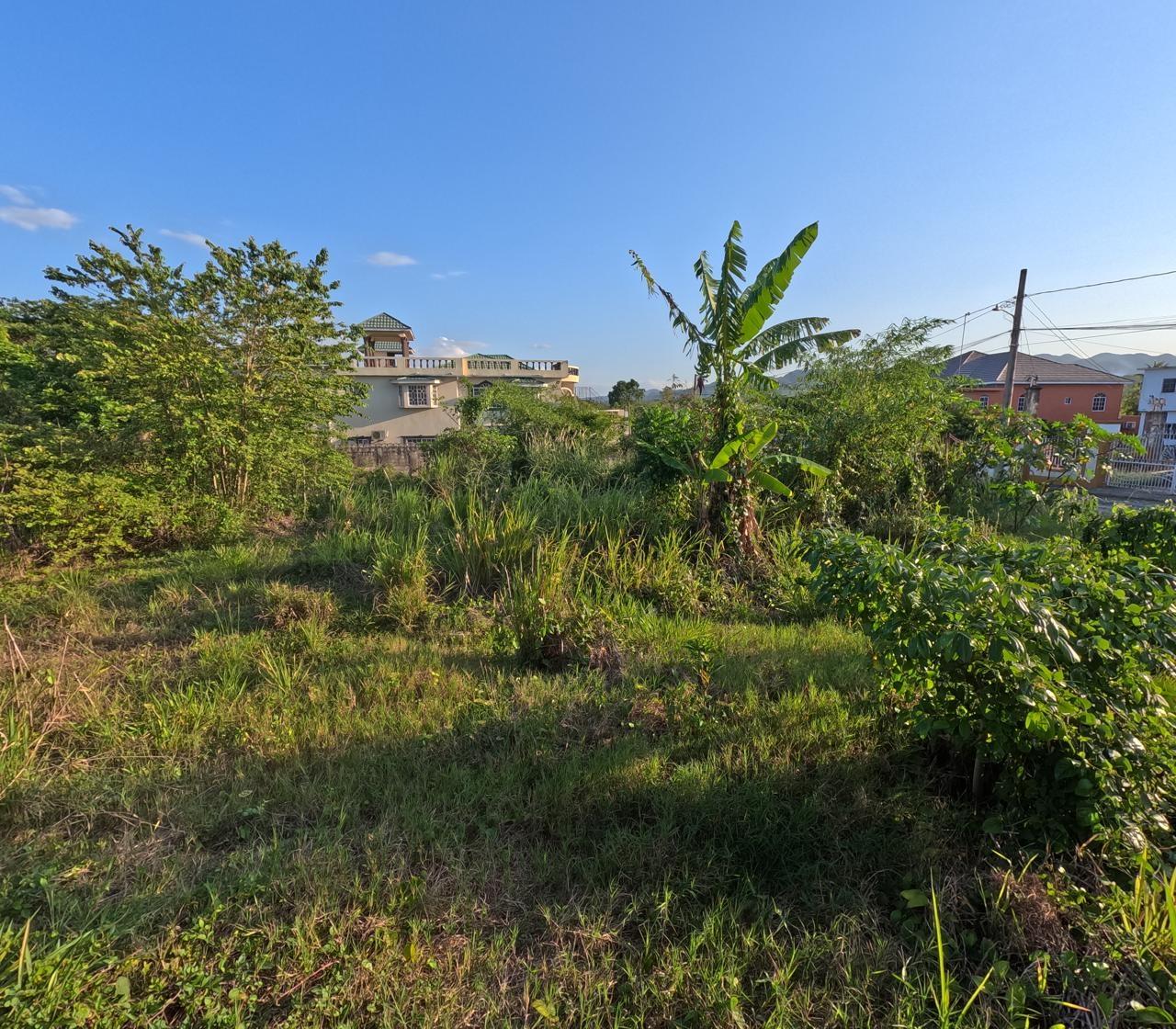 Fourth image of 7 Vineyard Park in Linstead, St. Catherine, Jamaica - property is For Sale