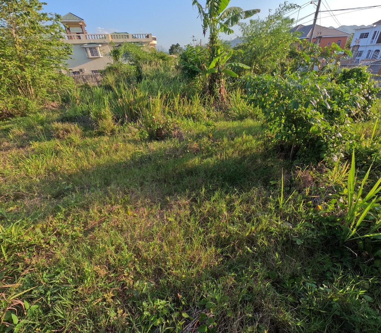 Fifth image of 7 Vineyard Park in Linstead, St. Catherine, Jamaica - property is For Sale