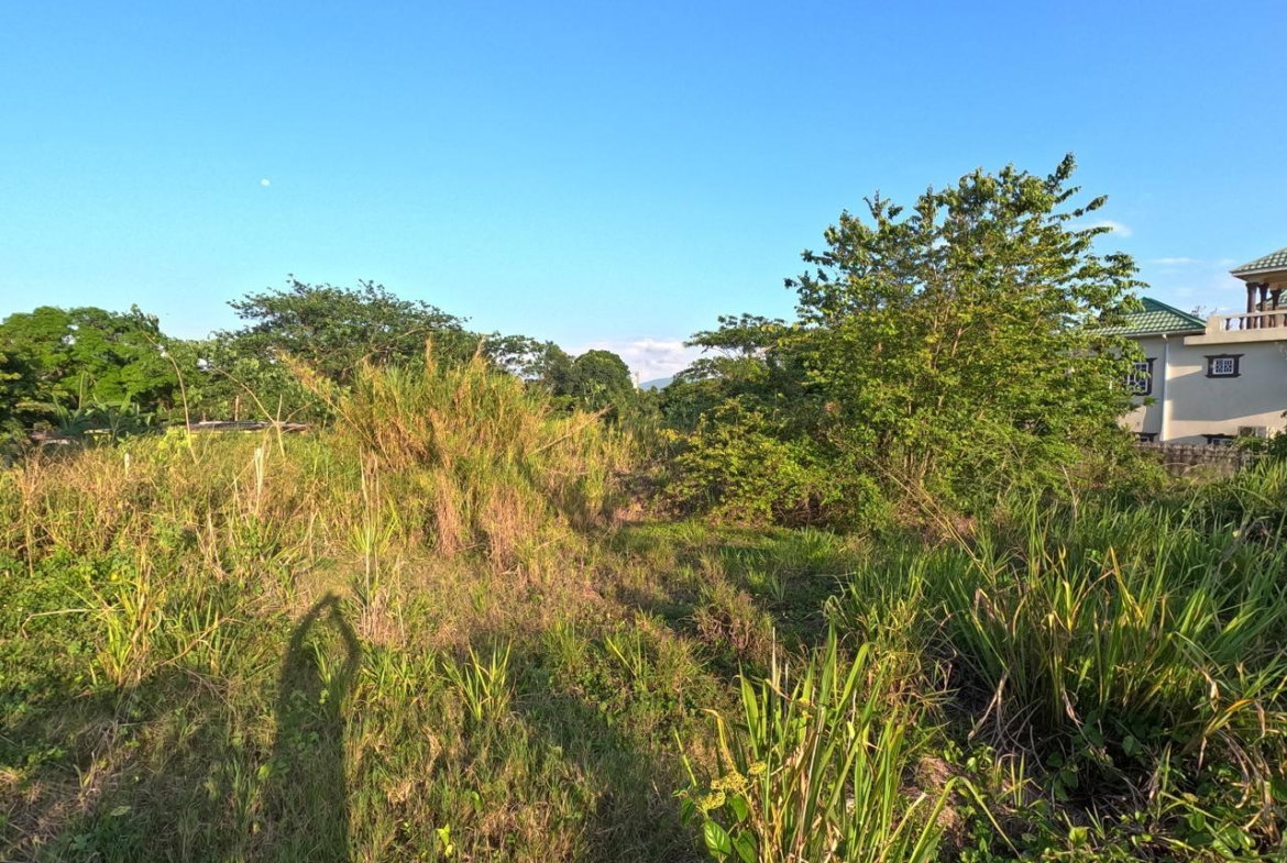 Sixth image of 7 Vineyard Park in Linstead, St. Catherine, Jamaica - property is For Sale