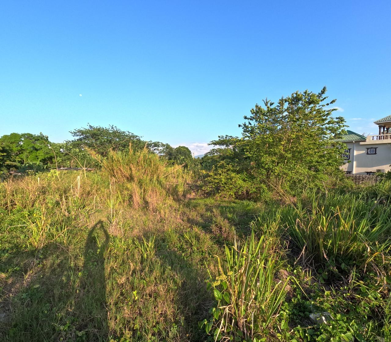 Sixth image of 7 Vineyard Park in Linstead, St. Catherine, Jamaica - property is For Sale