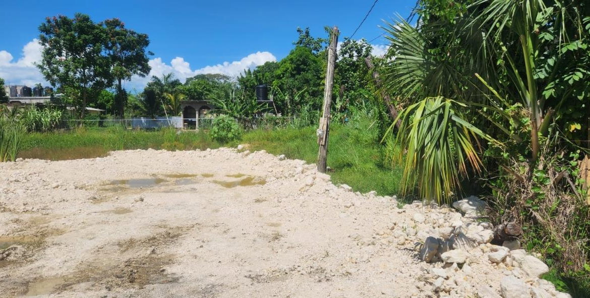First image of Lot 460 Llandilo in Llandilo, Westmoreland, Jamaica - property is For Sale
