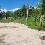First image of Lot 460 Llandilo in Llandilo, Westmoreland, Jamaica - property is For Sale