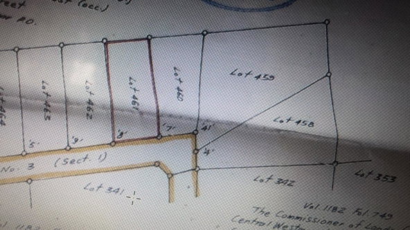 Fourth image of Lot 460 Llandilo in Llandilo, Westmoreland, Jamaica - property is For Sale