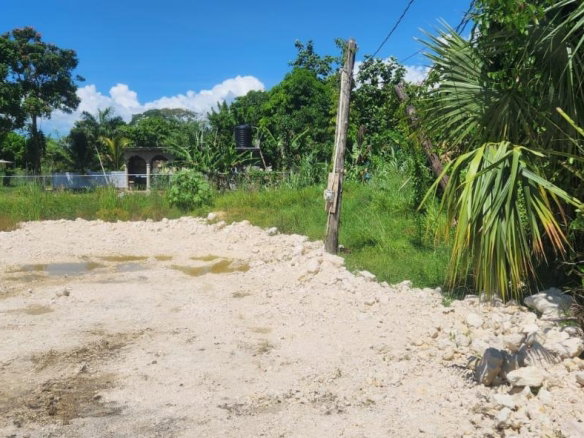First image of Lot 460 Llandilo in Llandilo, Westmoreland, Jamaica - property is For Sale