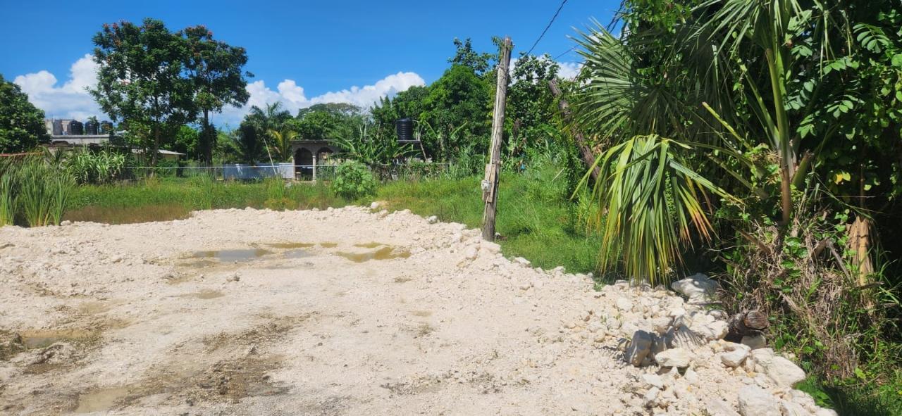 Residential-Lot-for-Sale-in-Llandilo-Westmoreland-Jamaica First image of Lot 460 Llandilo in Llandilo, Westmoreland, Jamaica - property is For Sale
