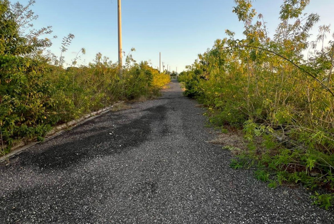 Second image of Lot 10 Longville Estate in Birds Hill, Clarendon, Jamaica - property is For Sale